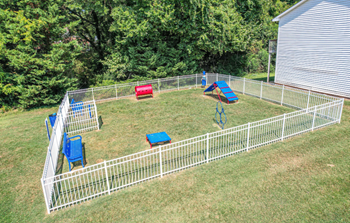 A fenced in backyard with a play area for dogs